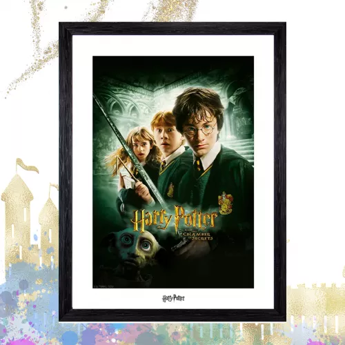 Poster Enmarcado Harry Potter y la Camara Secreta Geek Industry