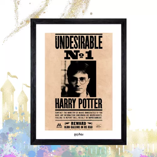 Poster Enmarcado Harry Potter Canvas Indeseable No1 Geek In